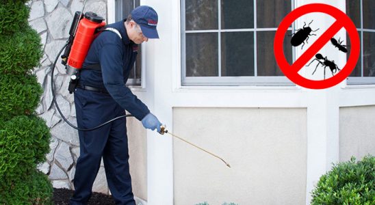 Pülümür Gümüşkurt İlaçlama böcek ilaçlama ve haşere kontrolü — ilaclama-tr.com